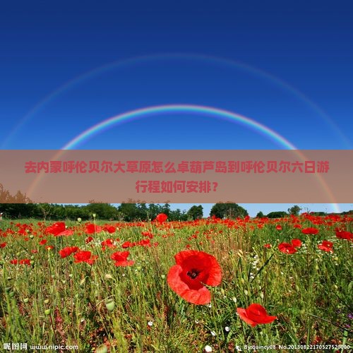 去内蒙呼伦贝尔大草原怎么卓葫芦岛到呼伦贝尔六日游行程如何安排？