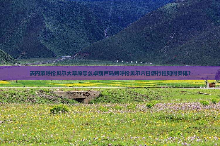 去内蒙呼伦贝尔大草原怎么卓葫芦岛到呼伦贝尔六日游行程如何安排？