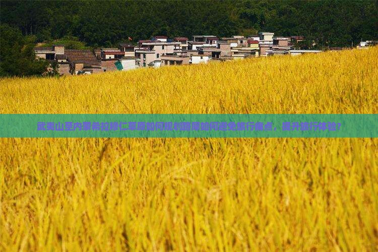 武夷山至内蒙希拉穆仁草原如何规划路犀如何避免旅行痛点，提升旅行体验？
