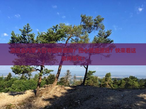 清远去内蒙大召寺团体旅游？担心路途遥远？快来看这条种草文！