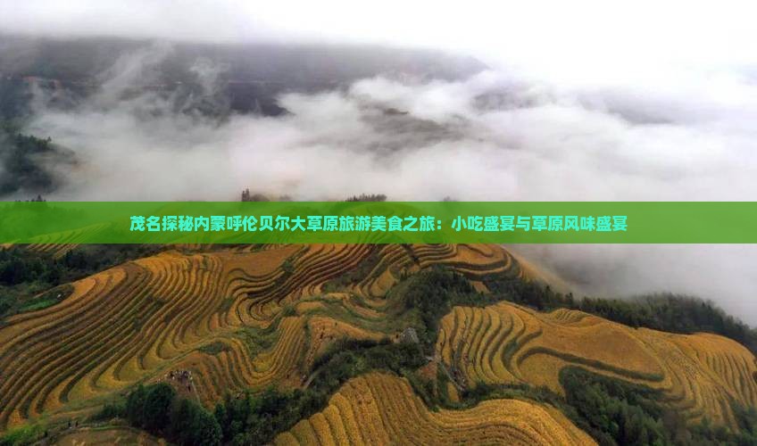 茂名探秘内蒙呼伦贝尔大草原旅游美食之旅：小吃盛宴与草原风味盛宴