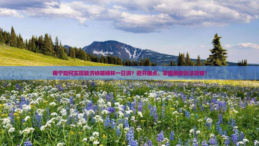 南宁如何实现额济纳胡杨林一日游？避开痛点，掌握最新玩法攻略！