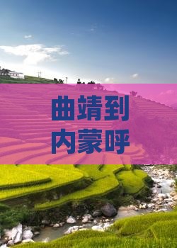曲靖到内蒙呼伦贝尔大草原七日游价格及路线