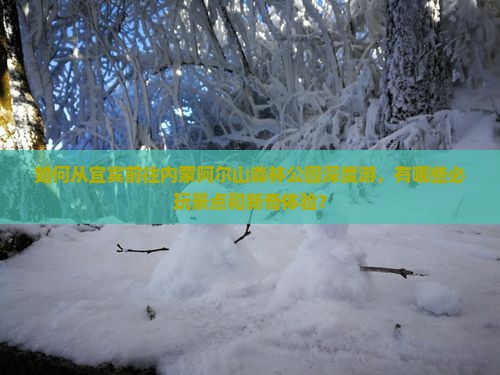 如何从宜宾前往内蒙阿尔山森林公园深度游，有哪些必玩景点和新奇体验？