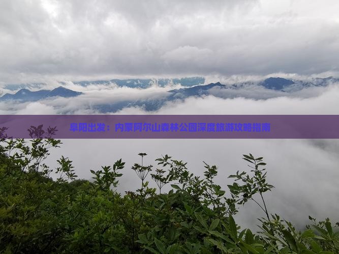 阜阳出发：内蒙阿尔山森林公园深度旅游攻略指南