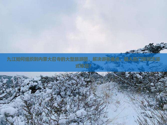 九江如何组织到内蒙大召寺的大型旅游团，解决游客痛点，融入热门新词沉浸式体验？
