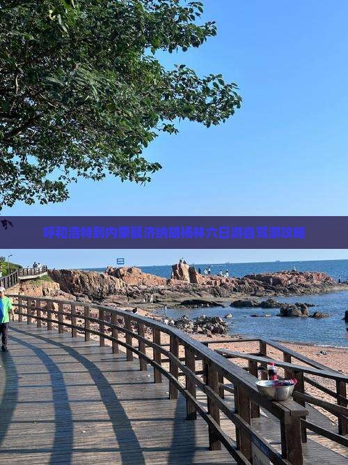呼和浩特到内蒙额济纳胡杨林六日游自驾游攻略
