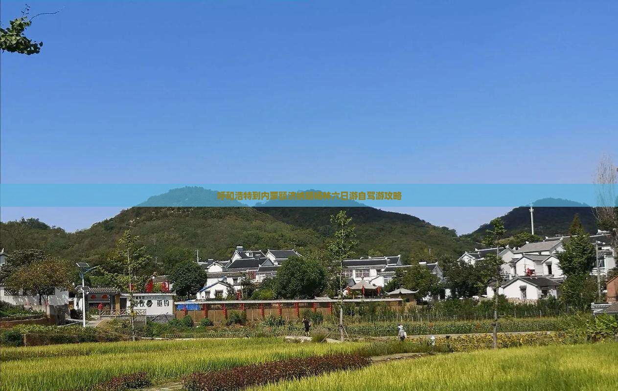 呼和浩特到内蒙额济纳胡杨林六日游自驾游攻略