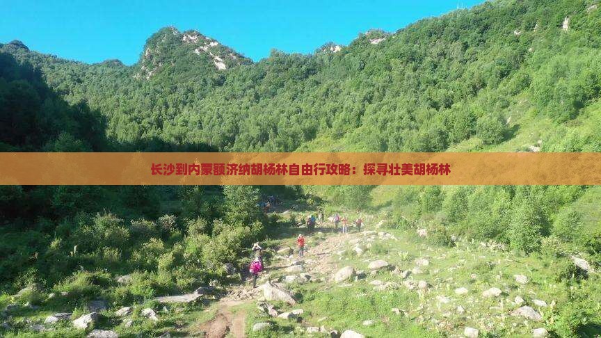 长沙到内蒙额济纳胡杨林自由行攻略：探寻壮美胡杨林