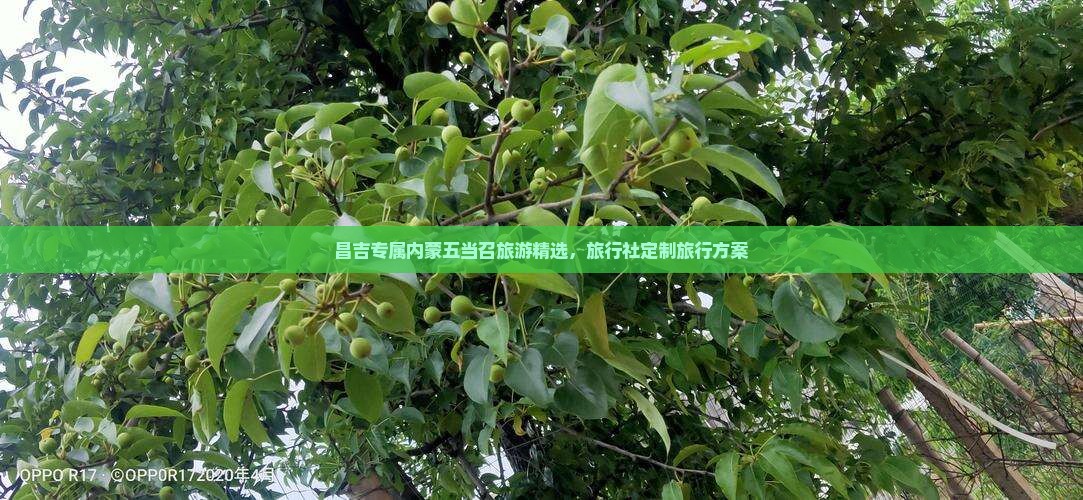 昌吉专属内蒙五当召旅游精选，旅行社定制旅行方案