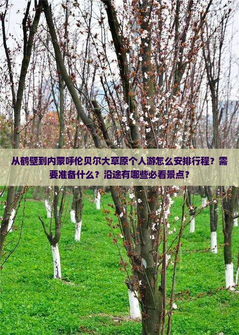 从鹤壁到内蒙呼伦贝尔大草原个人游怎么安排行程？需要准备什么？沿途有哪些必看景点？