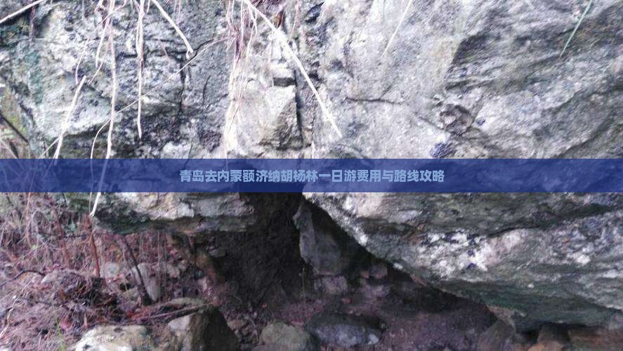 青岛去内蒙额济纳胡杨林一日游费用与路线攻略