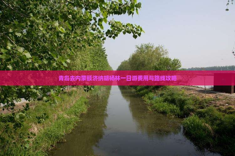 青岛去内蒙额济纳胡杨林一日游费用与路线攻略
