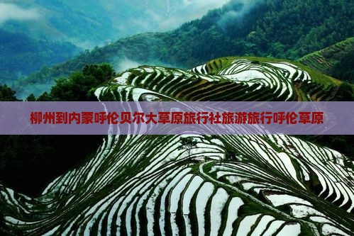 柳州到内蒙呼伦贝尔大草原旅行社旅游旅行呼伦草原