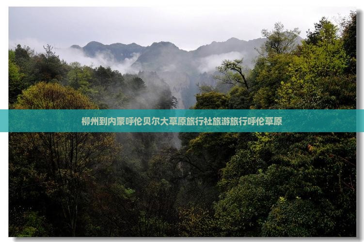 柳州到内蒙呼伦贝尔大草原旅行社旅游旅行呼伦草原