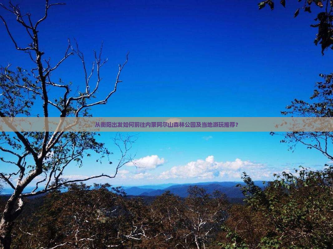 从衡阳出发如何前往内蒙阿尔山森林公园及当地游玩推荐？