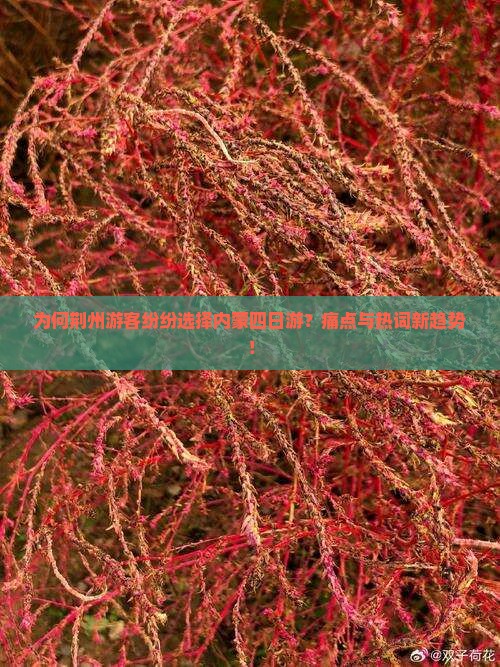 为何荆州游客纷纷选择内蒙四日游？痛点与热词新趋势！