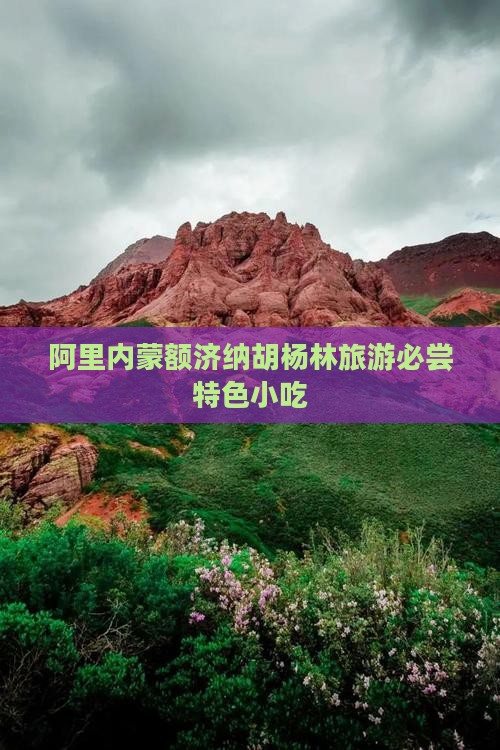 阿里内蒙额济纳胡杨林旅游必尝特色小吃