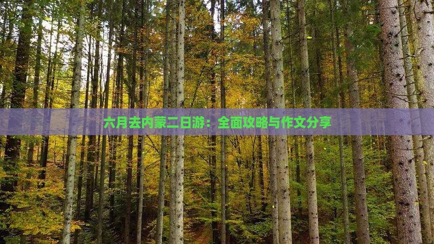 六月去内蒙二日游：全面攻略与作文分享