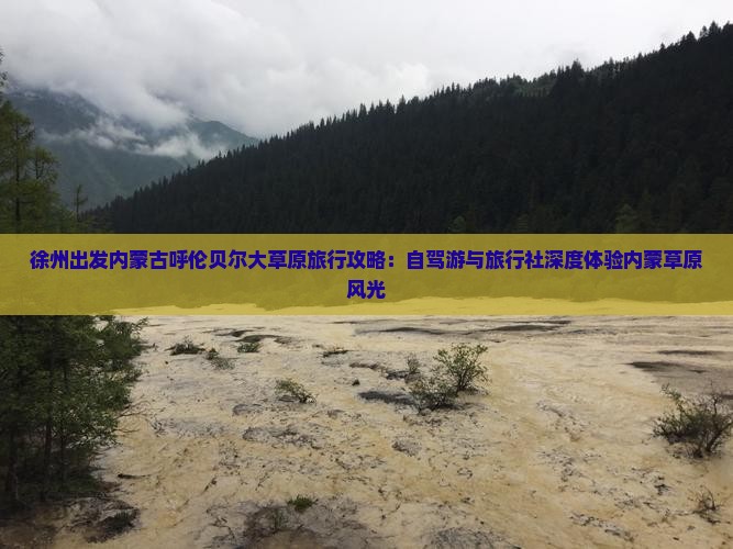 徐州出发内蒙古呼伦贝尔大草原旅行攻略：自驾游与旅行社深度体验内蒙草原风光