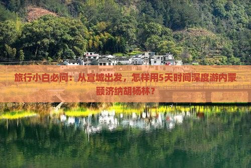 旅行小白必问：从宣城出发，怎样用5天时间深度游内蒙额济纳胡杨林？