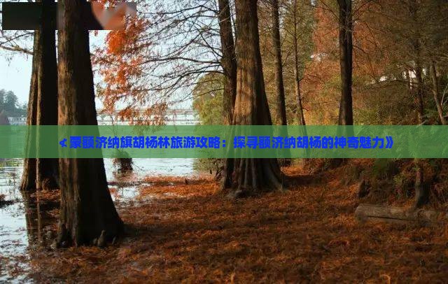 ≮蒙额济纳旗胡杨林旅游攻略：探寻额济纳胡杨的神奇魅力》