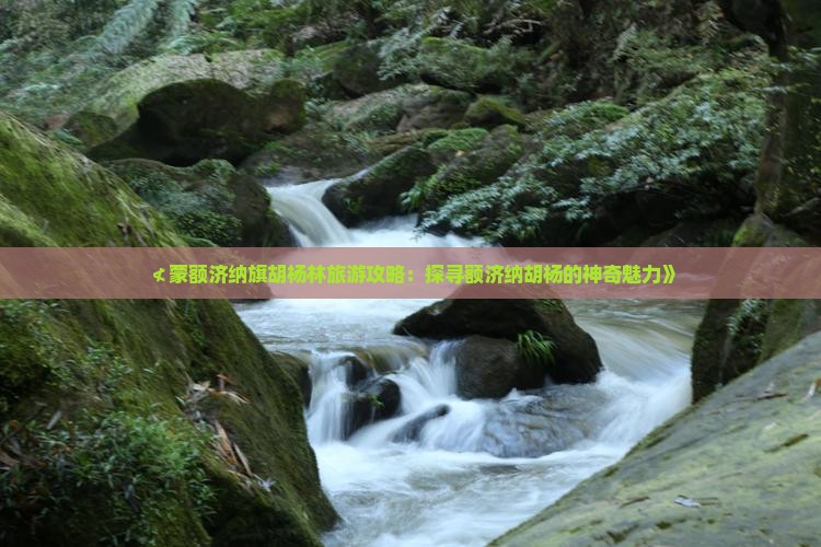 ≮蒙额济纳旗胡杨林旅游攻略：探寻额济纳胡杨的神奇魅力》