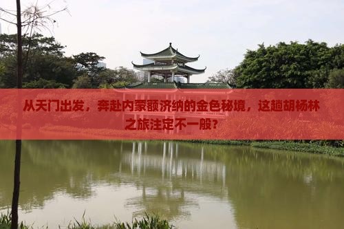 从天门出发，奔赴内蒙额济纳的金色秘境，这趟胡杨林之旅注定不一般？