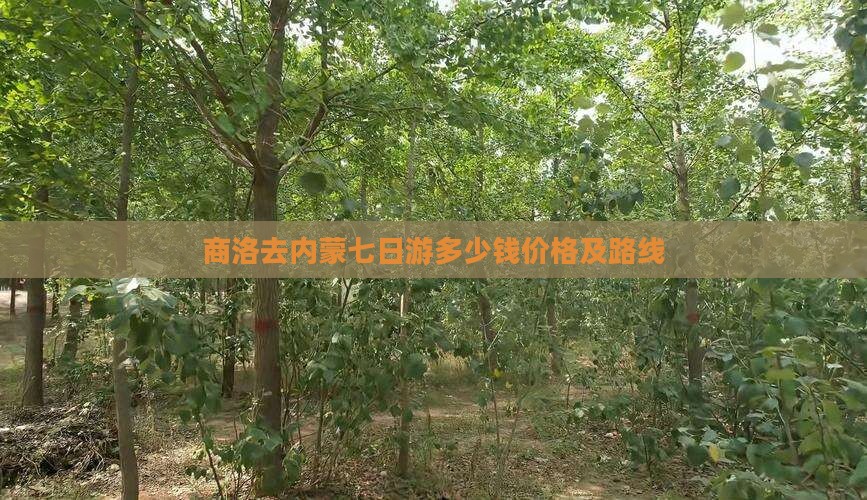 商洛去内蒙七日游多少钱价格及路线