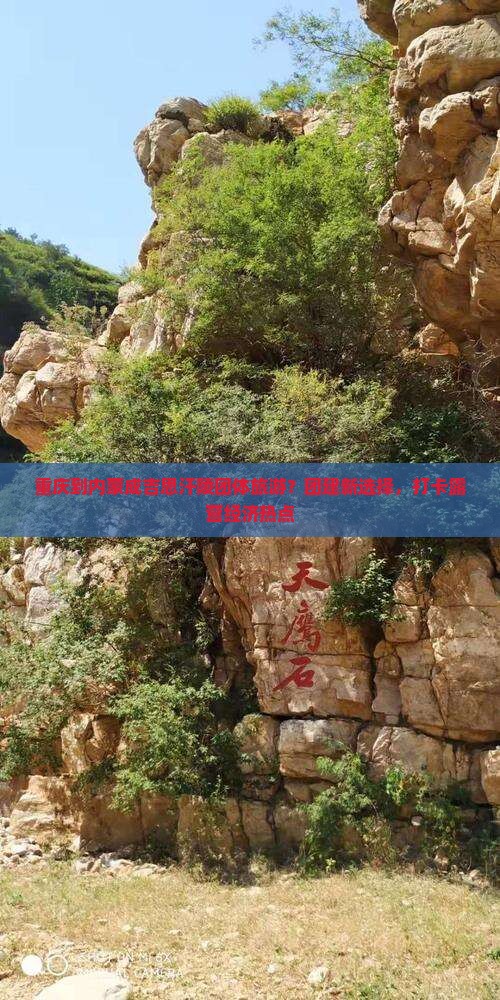 重庆到内蒙成吉思汗陵团体旅游？团建新选择，打卡露营经济热点