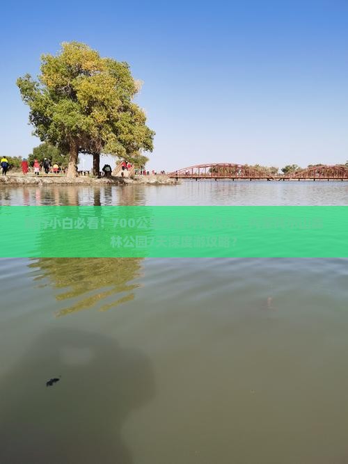 旅行小白必看！700公里穿越呼伦贝尔，内蒙阿尔山森林公园7天深度游攻略？