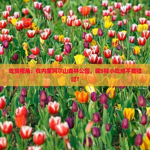 吃货视角：在内蒙阿尔山森林公园，哪5样小吃绝不能错过？