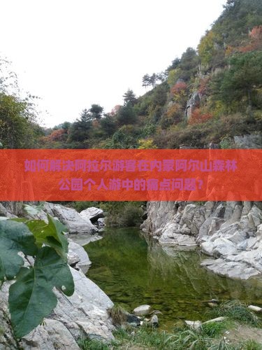 如何解决阿拉尔游客在内蒙阿尔山森林公园个人游中的痛点问题？