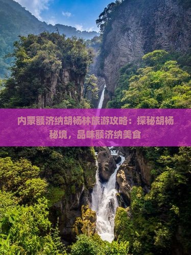 内蒙额济纳胡杨林旅游攻略：探秘胡杨秘境，品味额济纳美食