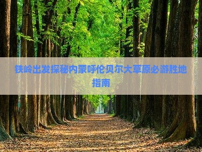 铁岭出发探秘内蒙呼伦贝尔大草原必游胜地指南