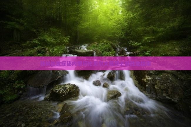 铁岭出发探秘内蒙呼伦贝尔大草原必游胜地指南