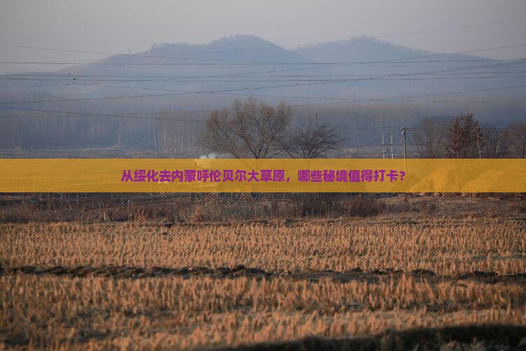 从绥化去内蒙呼伦贝尔大草原，哪些秘境值得打卡？