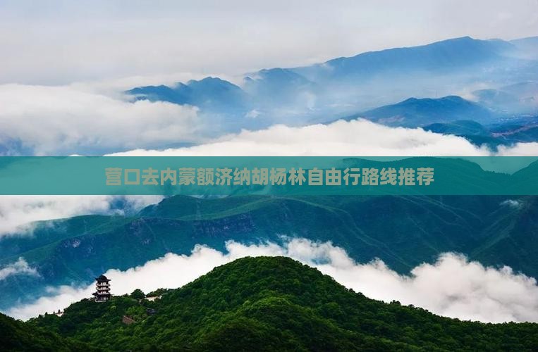 营口去内蒙额济纳胡杨林自由行路线推荐