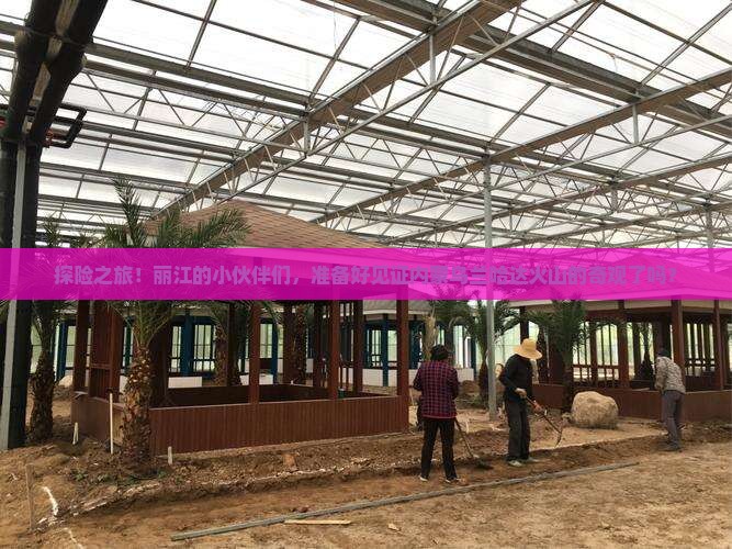 探险之旅！丽江的小伙伴们，准备好见证内蒙乌兰哈达火山的奇观了吗？