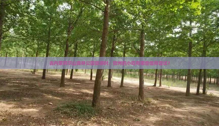 去内蒙阿尔山森林公园旅游时，钦州的小吃有哪些值得尝试？
