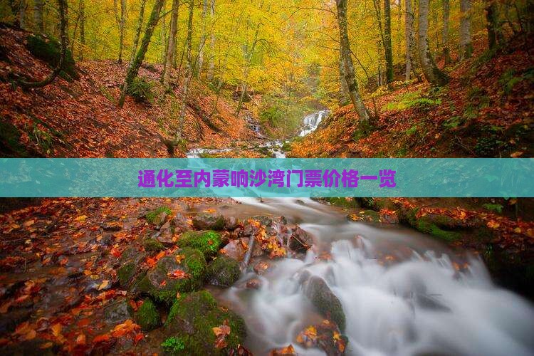 通化至内蒙响沙湾门票价格一览