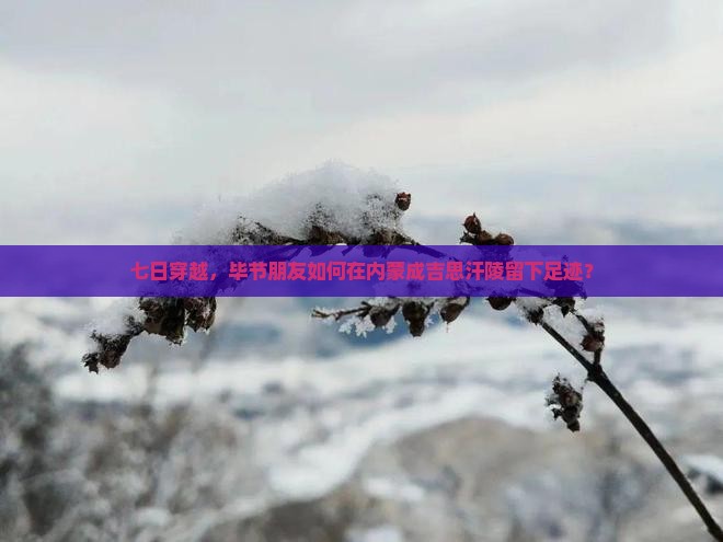 七日穿越，毕节朋友如何在内蒙成吉思汗陵留下足迹？