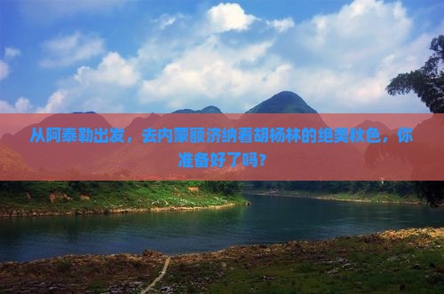 从阿泰勒出发，去内蒙额济纳看胡杨林的绝美秋色，你准备好了吗？