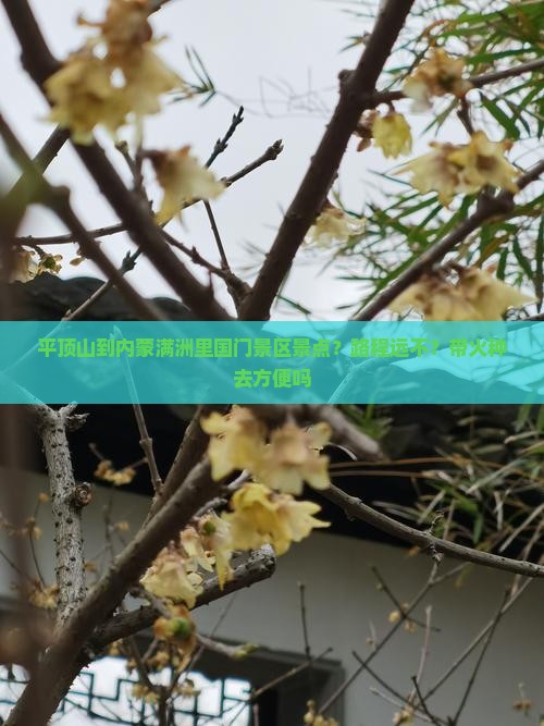 平顶山到内蒙满洲里国门景区景点？路程远不？带火种去方便吗