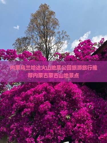 内蒙乌兰哈达火山地质公园旅游旅行推荐内蒙古蒙古山地景点