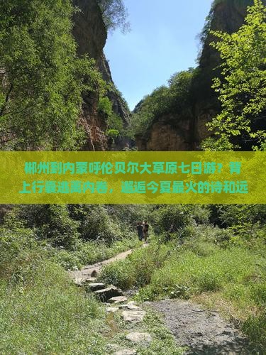 郴州到内蒙呼伦贝尔大草原七日游？背上行囊逃离内卷，邂逅今夏最火的诗和远方！