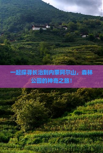 一起探寻长治到内蒙阿尔山，森林公园的神奇之旅！