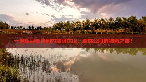 一起探寻长治到内蒙阿尔山，森林公园的神奇之旅！