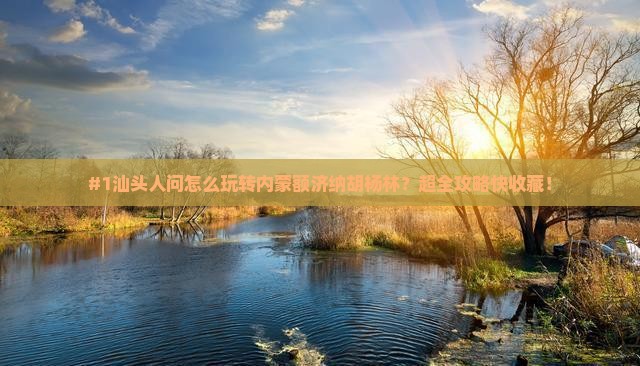 #1汕头人问怎么玩转内蒙额济纳胡杨林？超全攻略快收藏！