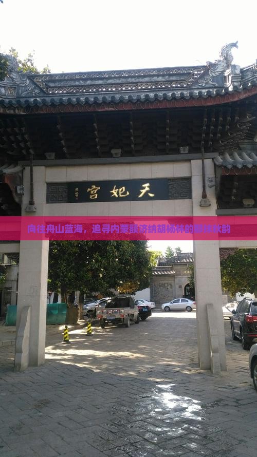 向往舟山蓝海，追寻内蒙额济纳胡杨林的那抹秋韵